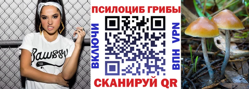 Псилоцибиновые грибы Psilocybe Мышкин
